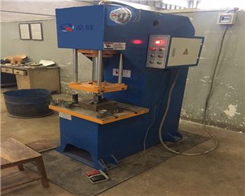 陝西(xī)奇力實業有限責(ze)任公司